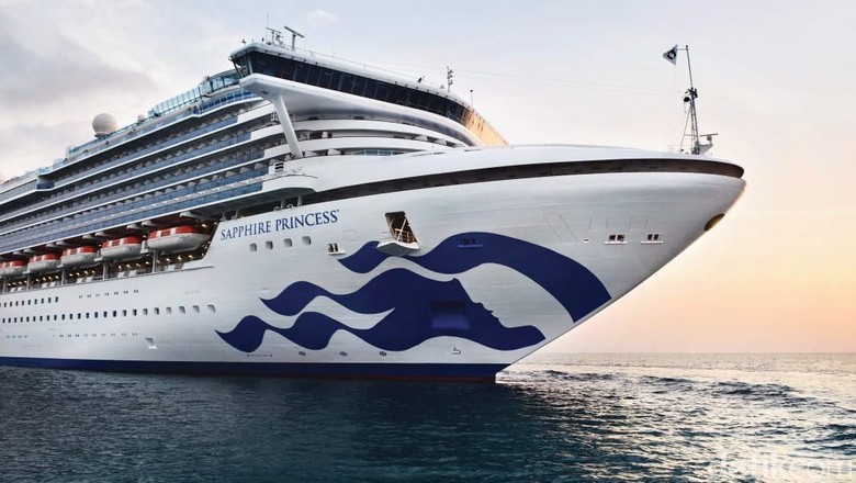 Foto: Ilustrasi Princess Cruise (Dok. Princess Cruise) Foto: Ilustrasi Princess Cruise (Dok. Princess Cruise)