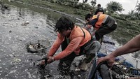 Para petugas mengumpulkan sampah yang menggenang di kawasan Banjir Kanal Timur.