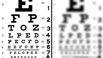 Kondisi mata dalam 10 tahun. Foto: Bored Panda