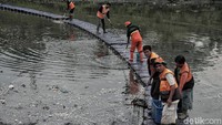 Terlebih memasuki musim hujan, kegiatan bersih-bersih sampah itu pun makin rutin dilakukan untuk mengantisipasi meluapnya air di kawasan Banjir Kanal Timur.