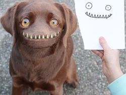 Seram Tapi Lucu, Imajinasi Coretan Bocah Jika Berwujud Nyata