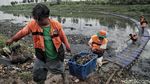 Aksi Petugas Bersih-bersih Sampah di Kanal Banjir Timur