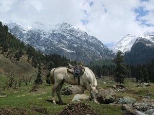 Kashmir, Pesona di Balik Pegunungan Himalaya