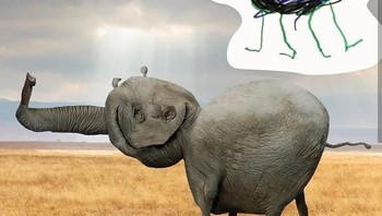 Nah, oleh sang ayah, gambar-gambar ini kemudian dikreasikan ulang. Foto: Instagram @thingsihavedrawn