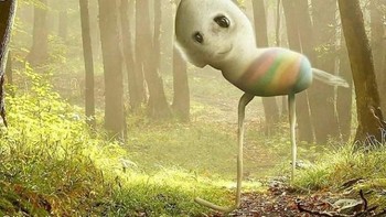 Akun yang sudah memiliki 168 ribu follower itu dibuat oleh seorang ayah yang punya ide untuk mewujudkan gambar hasil karya anaknya. Foto: Instagram @thingsihavedrawn