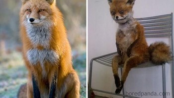 Sepuluh tahun berlalu. Foto: Bored Panda