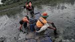 Aksi Petugas Bersih-bersih Sampah di Kanal Banjir Timur