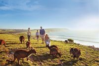 Liburan ke Adelaide, Coba Naik Pesawat Singapore Airlines Terbaru