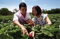 Liburan ke Adelaide, Coba Naik Pesawat Singapore Airlines Terbaru