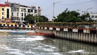 Walaupun tidak banyak, busa tersebut kembali muncul di permukaan.
