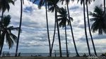 Foto Eksotisnya Pantai Palippis