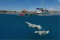 Liburan ke Adelaide, Coba Naik Pesawat Singapore Airlines Terbaru