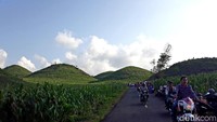 Traveler yang ingin ke Gunungkidul, bisa datang ke spot alam terbaru yang instagenic. Inilah Bukit Teletubbies (Pradito/detikTravel)