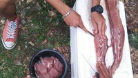 Senang travelling, Bucek dan teman-teman gemar masak sendiri. Kali ini mereka sedang berpetualang ke pantai dan ini sedang mempersiapkan masak ikan. Foto: Instagram @bucek