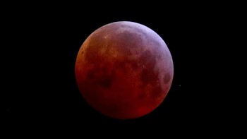 Warga Austria pun juga bisa menikmati fenomena Super Blood Wolf Moon ini. Foto: Reuters