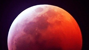 Seorang netizen pun membagikan gambar Super Blood Wolf Moon yang tampak di Normangee, Texas. Foto: Janice Williams West via Twitter/WeatherJefe