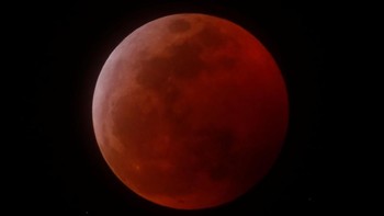 Amerika Serikat jadi salah satu negara dengan kawasan terbanyak yang bisa menikmati fenomena Super Blood Wolf Moon, atau gerhana Bulan serigala. Foto: Reuters
