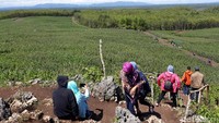 Tepatnya berada di di perbukitan Dusun Candi, Desa Giring, Kecamatan Paliyan, Kabupaten Gunungkidul (Pradito/detikTravel)