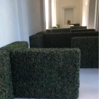 Bagian dalam rumah dihias dengan labirin kecil dari tembok-tembok dedaunan. Foto: Instagram