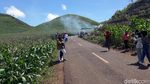Foto: Bukit Teletubbies dari Gunungkidul