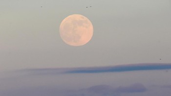 Menilik waktu, fenomena ini akan mulai dengan gerhana bulan sebagian sekitar jam 10:34 malam EST (kawasan pesisir timur Amerika), Minggu (20/1). Gerhana bulan total akan berlangsung selama 62 menit, mulai jam 11:41 malam EST hari Minggu. Rebecca Naden/Reuters.