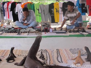 Orang Labuan Bajo: Kalau TN Komodo Ditutup, Kami Mau Makan Apa?