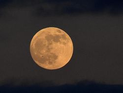 Indahnya Awal Gerhana Bulan Serigala di Berbagai Negara