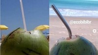 2009 minum es kelapa masih pakai sedotan plastik. Nah di 2019 ini orang banyak minum es kelapa pakai sedotan stainless yang lebih ramah lingkungan. Foto: Istimewa