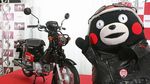 Honda Super Cub Versi Beruang Hitam