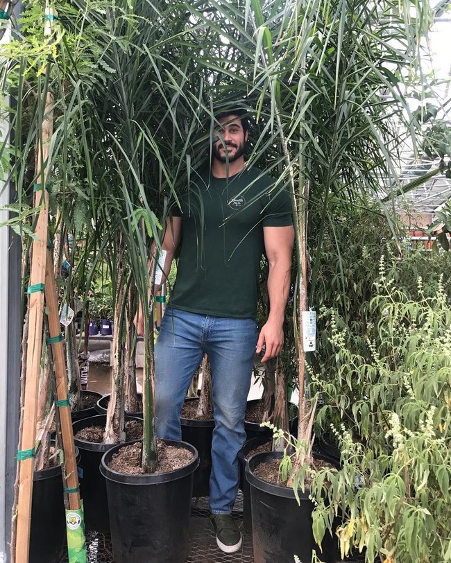 Danny Jones pun sadar ia jadi perbincangan netizen karena bentuk tubuhnya. Ia pernah mem-posting foto dirinya sedang berdiri di antara tumbuhan hijau. I figured I might as well embrace it... #treeman, tulisnya. Foto: Instagram@dannyjonesfitness