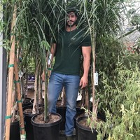 Danny Jones pun sadar ia jadi perbincangan netizen karena bentuk tubuhnya. Ia pernah mem-posting foto dirinya sedang berdiri di antara tumbuhan hijau. I figured I might as well embrace it... #treeman, tulisnya. Foto: Instagram@dannyjonesfitness