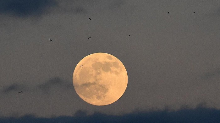 Gerhana Bulan total yang disebut Super Blood Wolf Moon nampak terlihat di sejumlah negara di dunia. Seperti apa keindahannya?