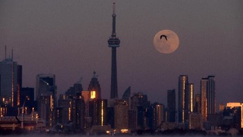 Tampak bulan begitu bundar di atas kota Toronto. Foto: Reuters