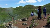 Karena ditanam di perbukitan, membuat bukit-bukit yang menyerupai doom itu berwarna hijau layaknya bukit di film Teletubbies (Pradito/detikTravel)