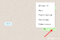 Tampilan WhatsApp web