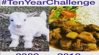 Seperti ini kira-kira gulai kambing yang kamu makan sekarang. Dahulu daging kambingnya masih berupa seekor anak kambing menggemaskan. Foto: Istimewa