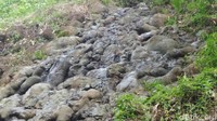 Himpunan batuan beraneka ragam, jenis dan ukuran ditemukan di lokasi geosite ini. Ukurannya pun mulai dari yang kecil hingga batuan yang berukuran raksasa sebesar bukit (Rinto/detikTravel)