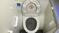 Kelima yakni tidak menyiram toilet setelah dipakai. Bukan hanya pramugari, penumpang lain juga pasti merasa tidak suka (iStock)