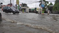 Ia menjelaskan kondisi banjirdi kawasan tersebut, terutama di Lorong Kotipa 16-14, volume genangan air sudah mencapai sekitar 1,3 - 1,5 meter atau setinggi leher orang dewasa. Selain itu juga di Lorong Kotipa 08-13, ketinggian airnya sudah mencapai satu meter atau setinggi dada orang dewasa, sementara di Lorong Kotipa 6-7 ketinggian air mencapai 50-70 centimeter atau setinggi pinggang orang dewasa.