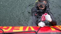 Sampah-sampah plastik ini berhasil diangkat dari dasar/dalam air laut.