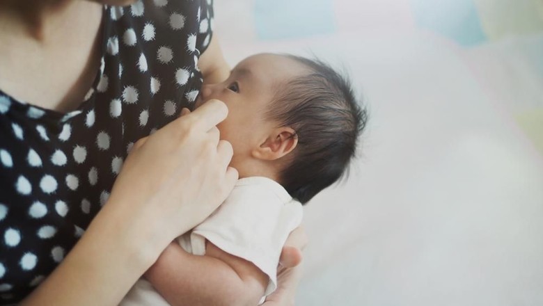 Ilustrasi ibu menyusui/ Foto: Shutterstock Ilustrasi ibu menyusui/ Foto: Shutterstock
