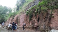 Sesuai dengan namanya, Karangsambung memiliki makna karang raksasa yang bersambung. Lokasi ini diyakini oleh para ahli sebagai lantai samudra purba yang muncul ke permukaan akibat adanya proses pergerakan lempeng bumi (Rinto/detikTravel)