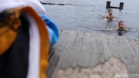 Ya, mereka tampak sangat semringah saat berenang di pesisir Muara Baru.