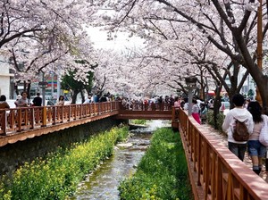 Liburan ke Korea Tahun 2019, Wajib Main ke Gyeongnam