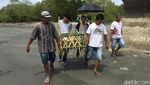 Foto: Ritual Memberi Makan Laut di Polewali Mandar