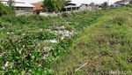 Tumpukan Sampah yang Menutup Kali Cibalok Bekasi Dibersihkan