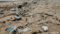 Pagi ini, Rabu (23/1/2019) Pantai Kuta di Kabupaten Badung, Bali, terlihat sangat kotor. Sampah yang didominasi sampah plastik ini menyebar merata di sepanjang garis pantai. (Muhammad Idris/detikTravel)