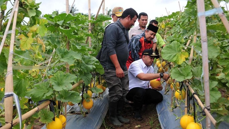 Mau Dibawa ke Mana Produk Petani? Mau Dibawa ke Mana Produk Petani?