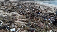 Per hari ini tadi sampah banyak kayu gelondongan, ranting-ranting, ada juga beberapa sampah plastik. Tadi angkutan sampah di Pantai Kuta sampai 30 truk dan di Legian sampai 25 truk, kata Koordinator Pengawas Lapangan DLHK Kabupaten Badung wilayah Kuta Ketut Sudiasa. (Dita-detikcom)