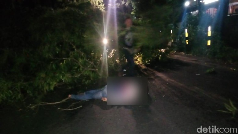 Pohon Tumbang di Blitar Timpa Pemotor Hingga Tewas Pohon Tumbang di Blitar Timpa Pemotor Hingga Tewas